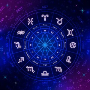 Astrology Management Software